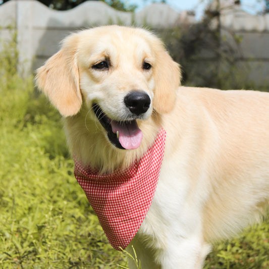 Reversible Dog Bandana