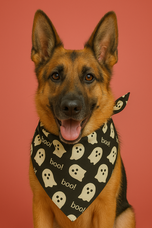 Boo Spookster Bandana for Dogs