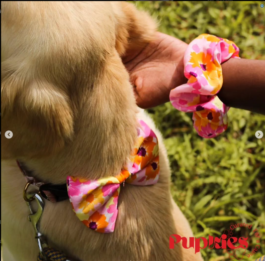 Twinning Bow-Tie and Scrunchie Set