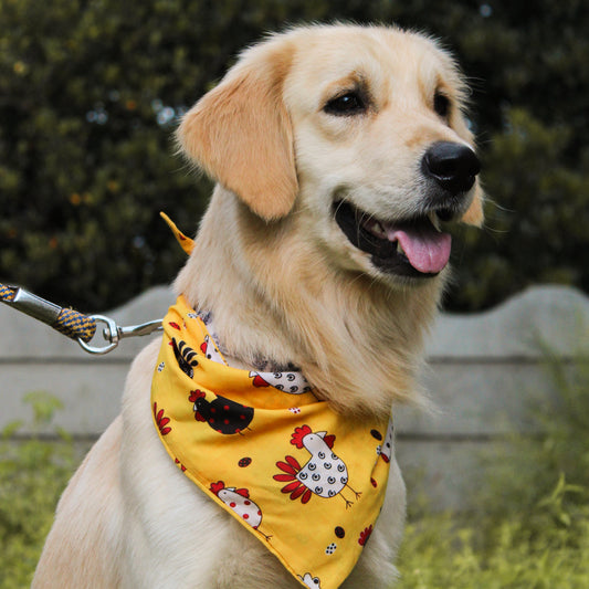 Chimken Tie-On Bandana