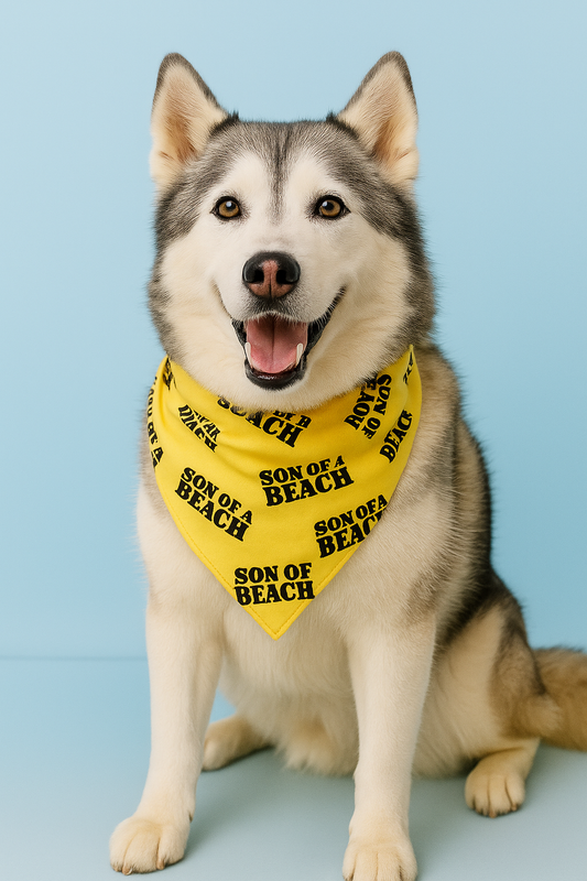 Son of a Beach Summer Bandana- Holiday Collection